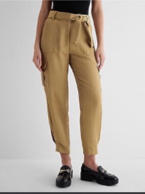 NWOT Express Metallic Shine High Waisted Belted Cargo Ankle Pant